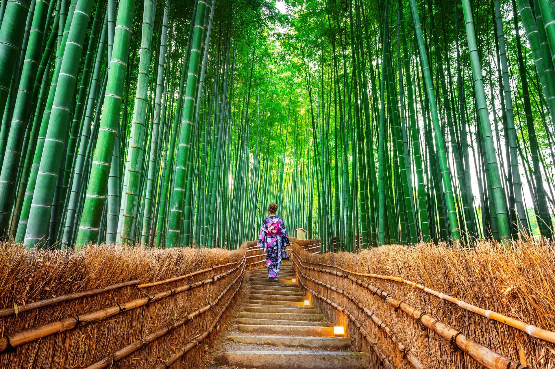 El Monte Arashiyama